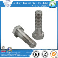 Ss316 Ss304 Hex Bolt Hex Flange Bolt Hex Screw